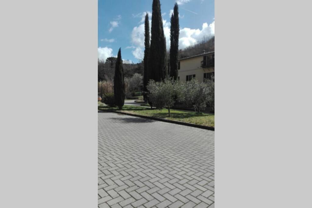 Casazappa - In Centro A Piedi, Parcheggio E Giardino Privato Apartamento Siena Exterior foto